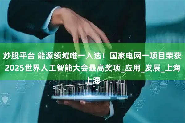 炒股平台 能源领域唯一入选！国家电网一项目荣获2025世界人工智能大会最高奖项_应用_发展_上海
