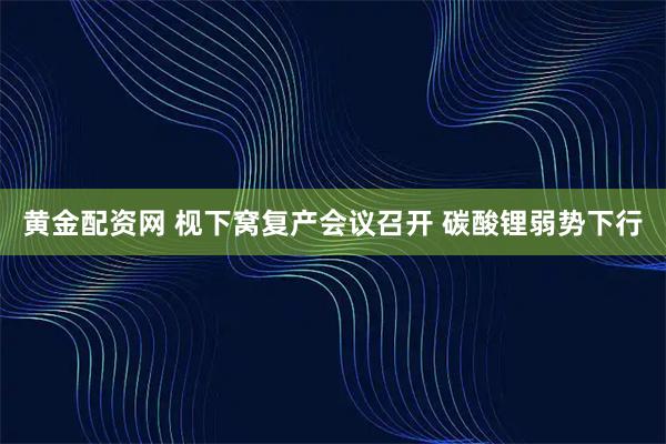 黄金配资网 枧下窝复产会议召开 碳酸锂弱势下行